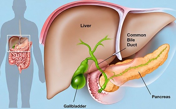 What Types of Gallbladder Cancer Can Be Treated?