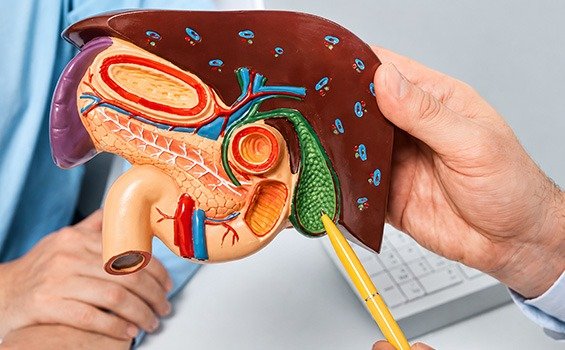 Who is an Ideal Candidate for Gallbladder Cancer Treatment?